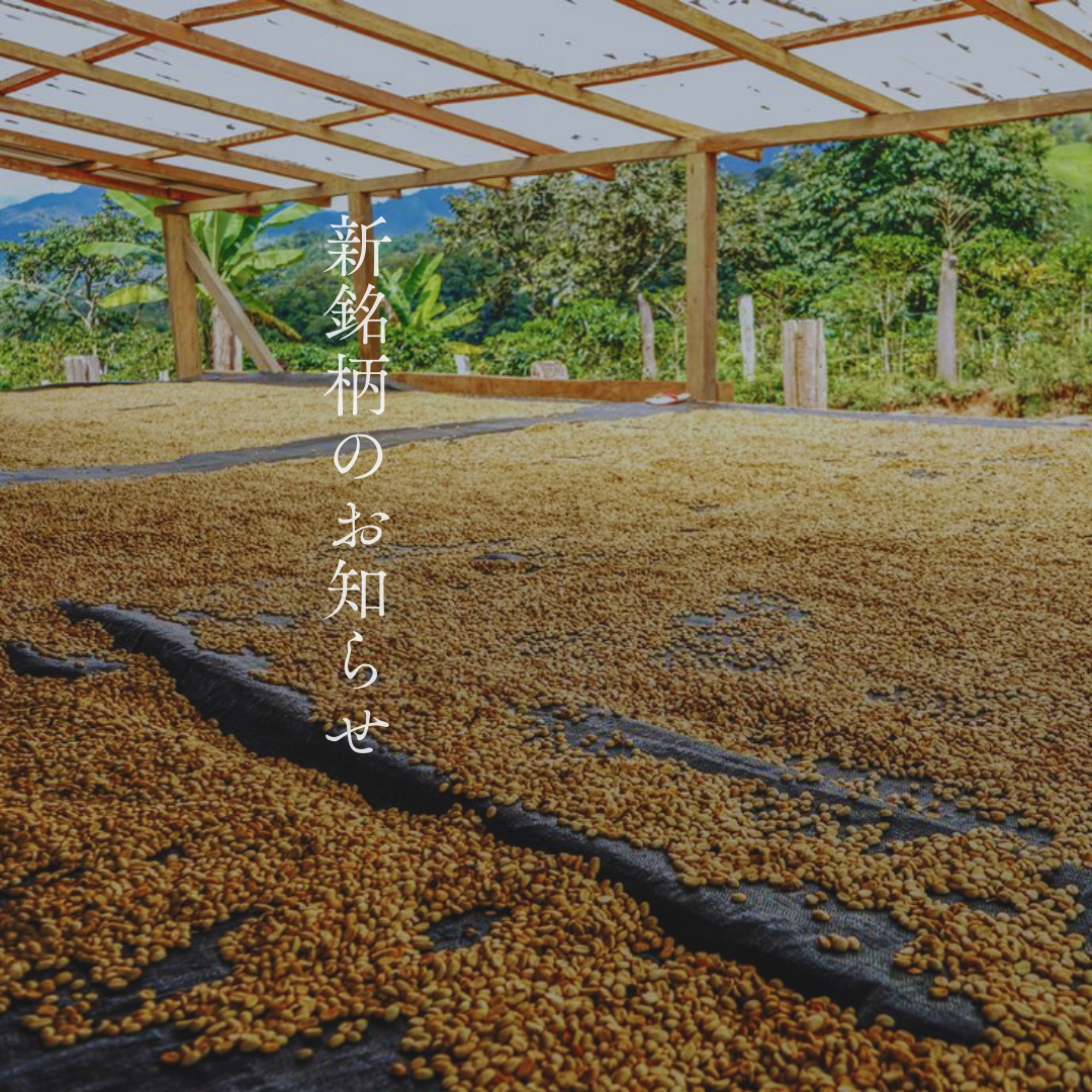 【新銘柄のお知らせ】深いコク#3「ペルー ロス・ベルメオ」