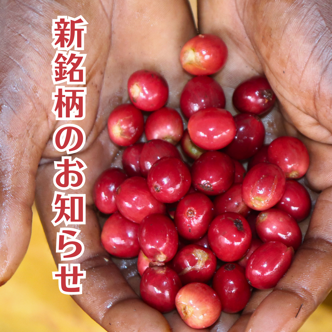 【新銘柄のお知らせ】飲む者を虜にする「ケニア ギチツAB」