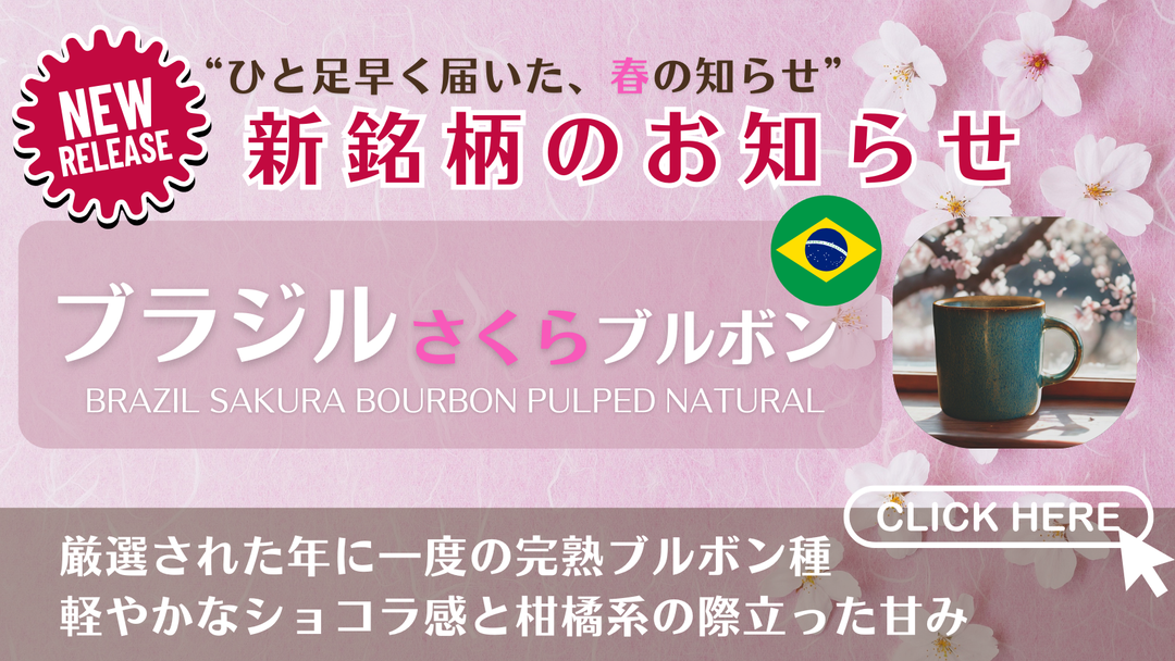【新銘柄のお知らせ】年に一度の完熟コーヒー「さくら ブルボン」を発売開始！